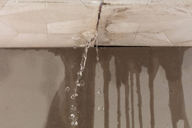 Professional Structural Drying technician working in Ida, MI